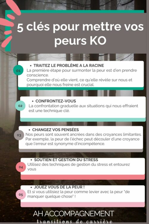 INFOGRAPHIE gestion peur